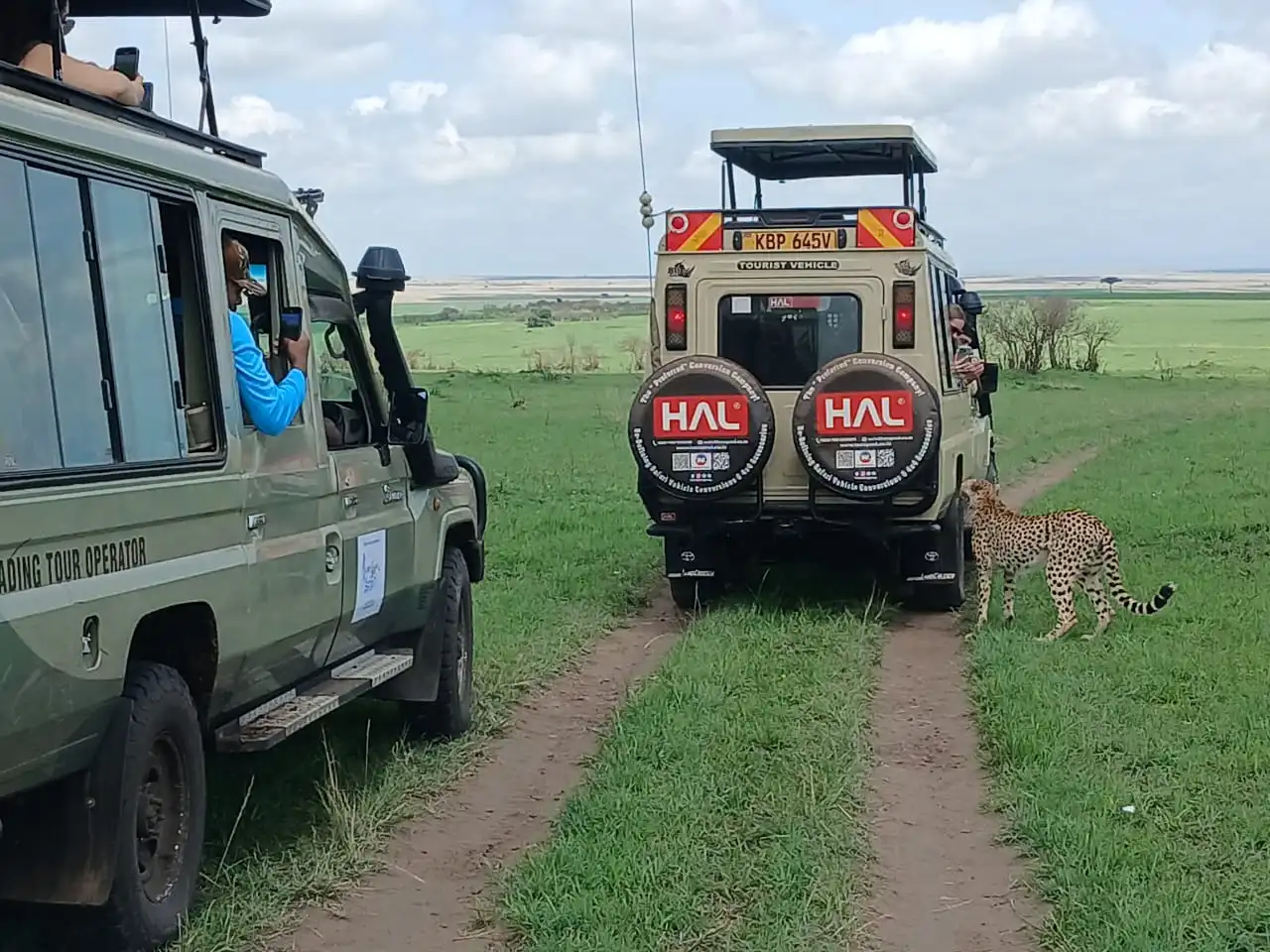 Jeep Safari vehicle on a safari drive